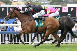 Volpe Veloce triumphs in the Cambridge Stud Eight Carat Classic. Photo: Trish Dunell